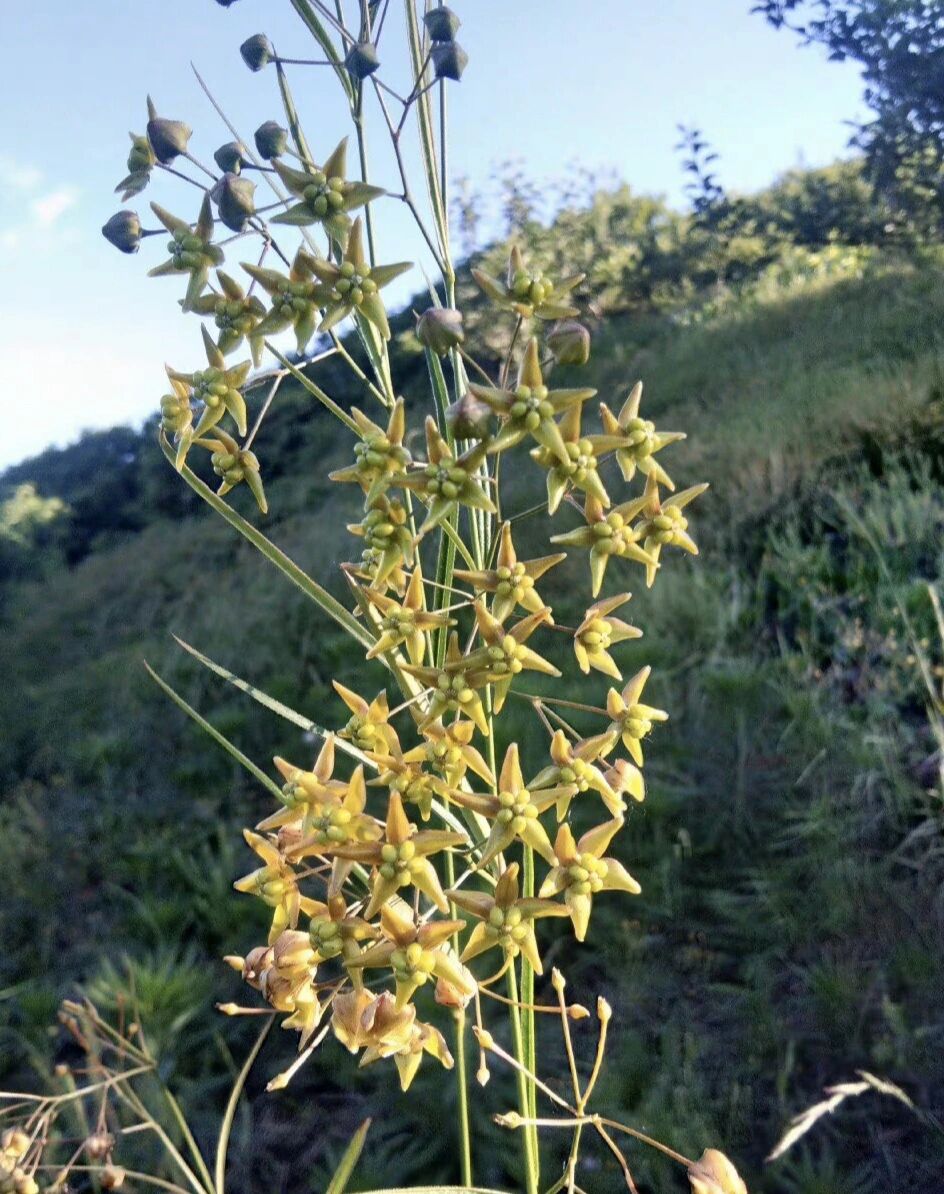 日常保健,提升生活质量