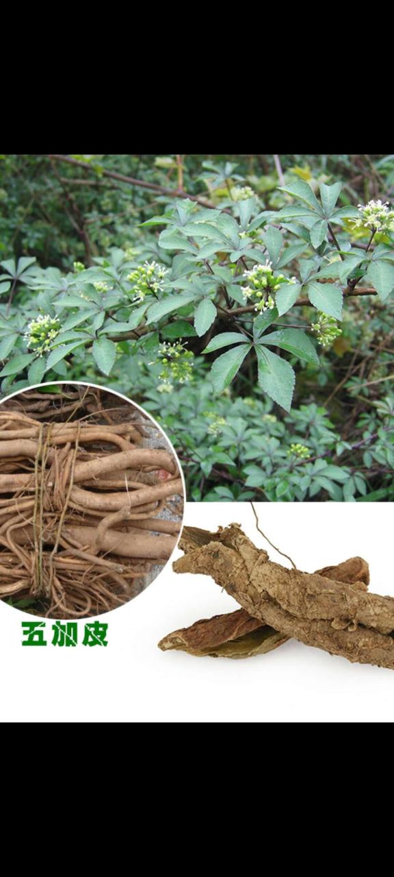 合理使用,注意禁忌