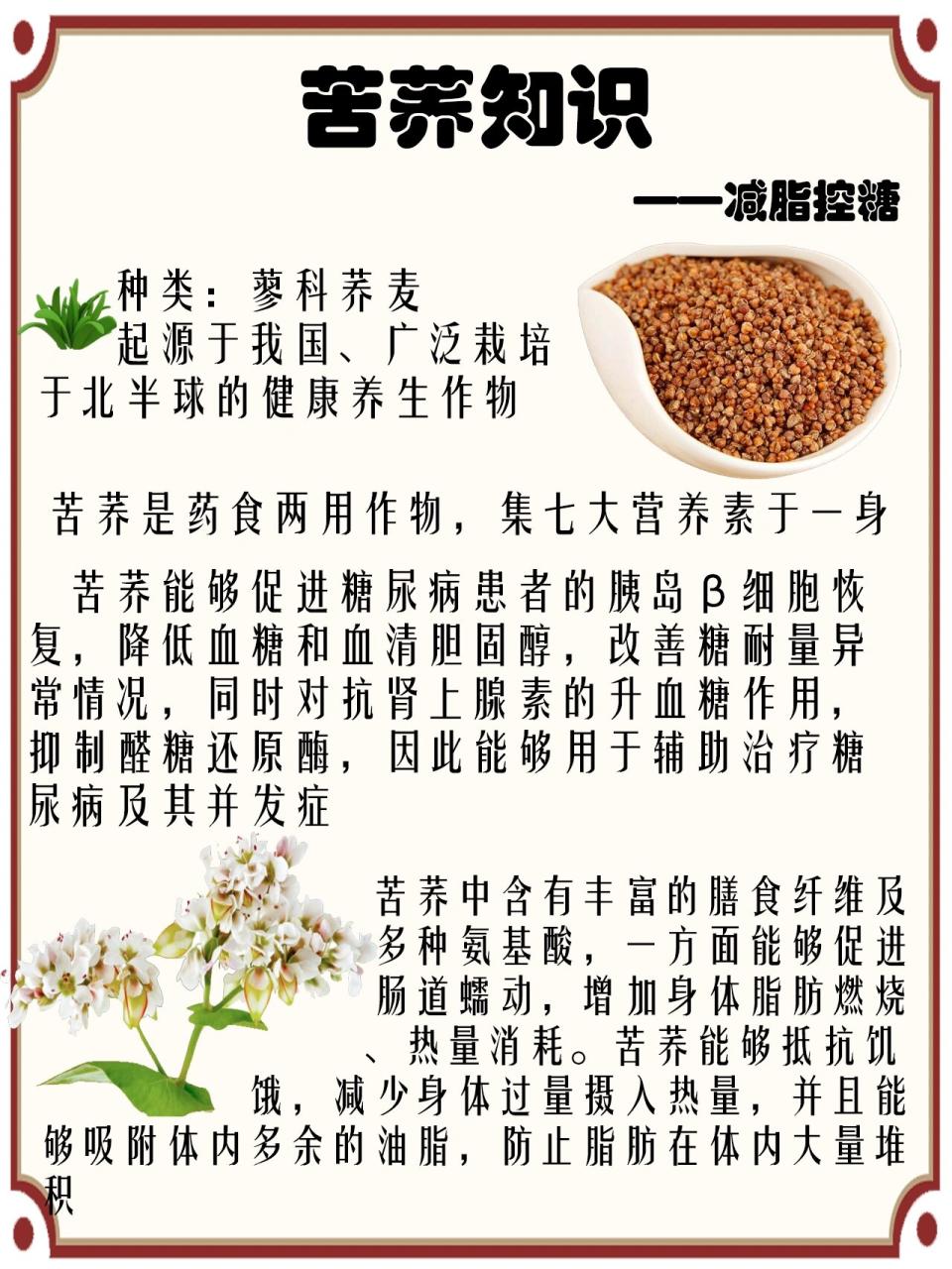 促进消化,调节血糖