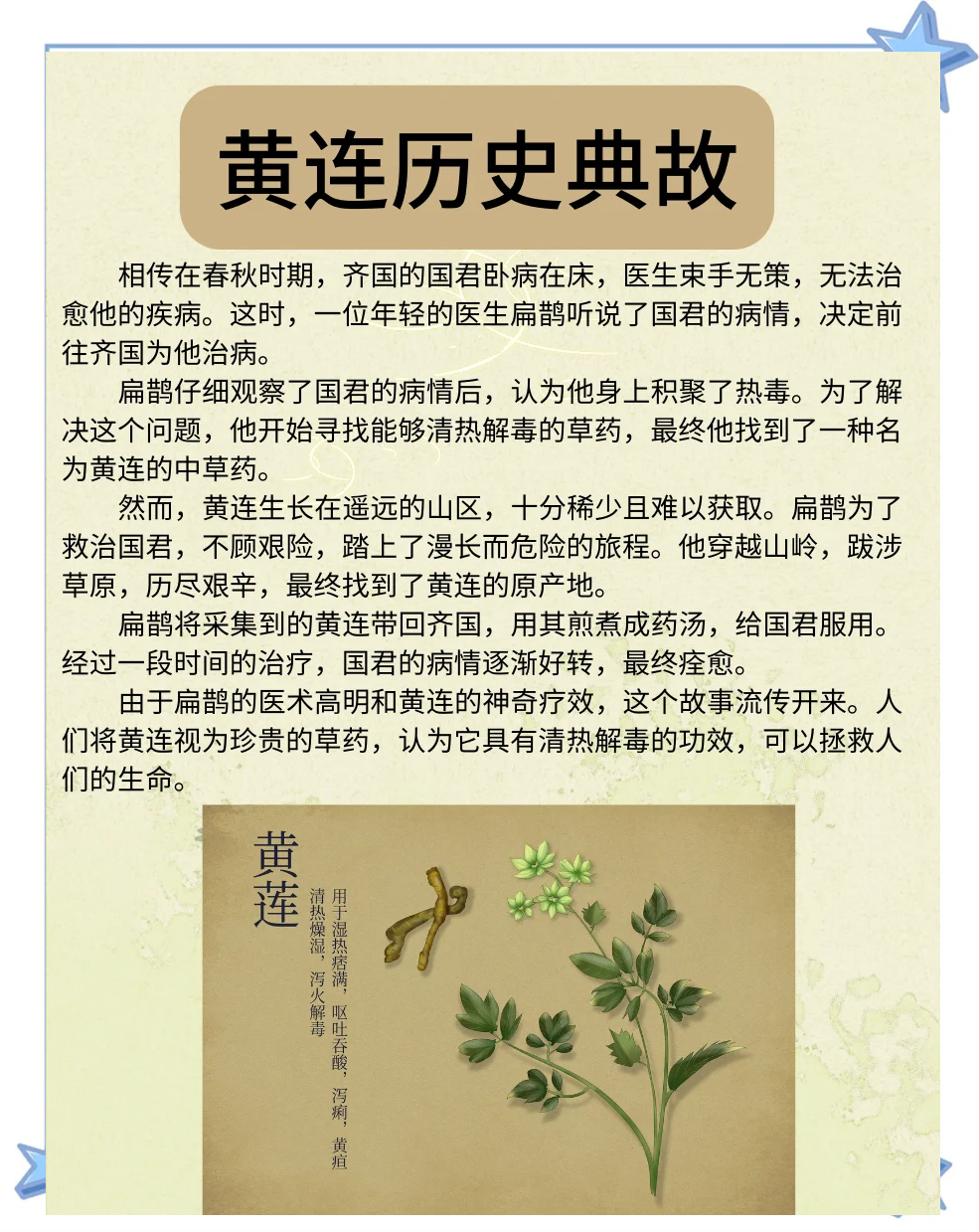 二、黄连的功效和作用