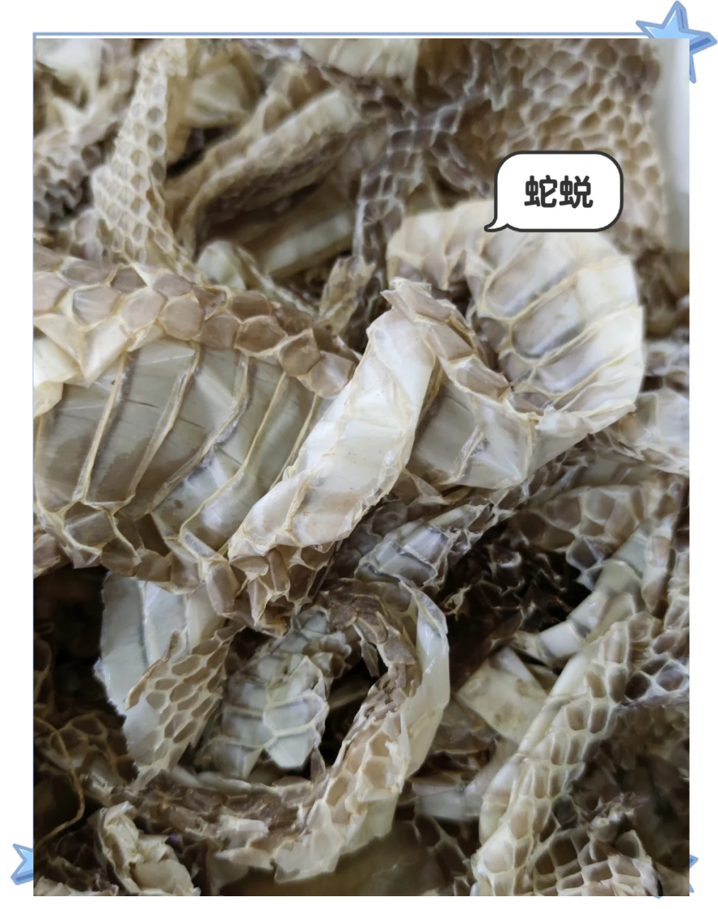 现代医学中的应用