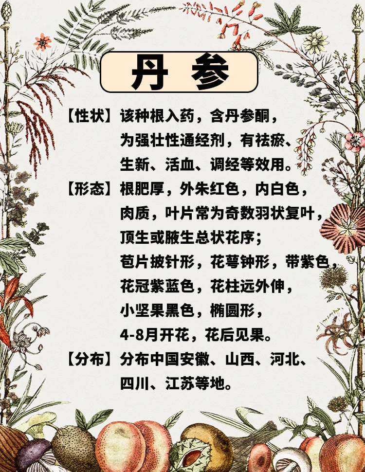 日常保健,提升生活质量