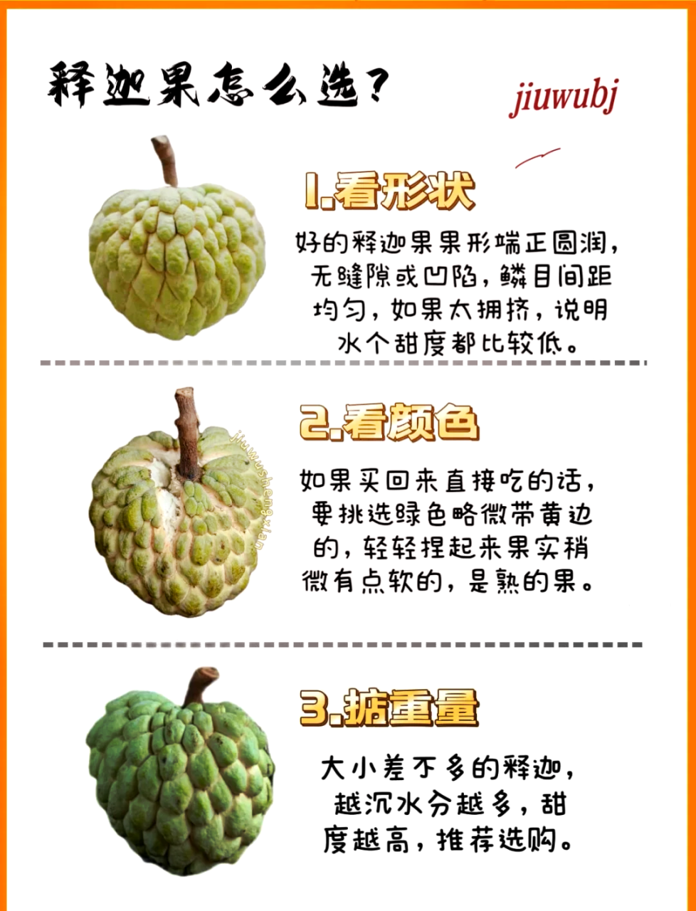 适合减肥人群食用