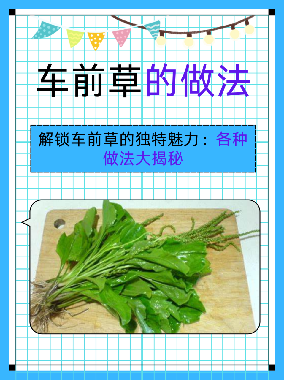 自然的力量,值得信赖