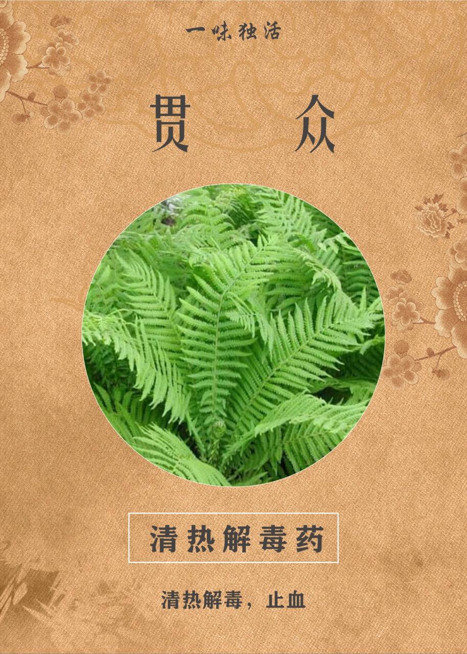 增强免疫力的天然选择