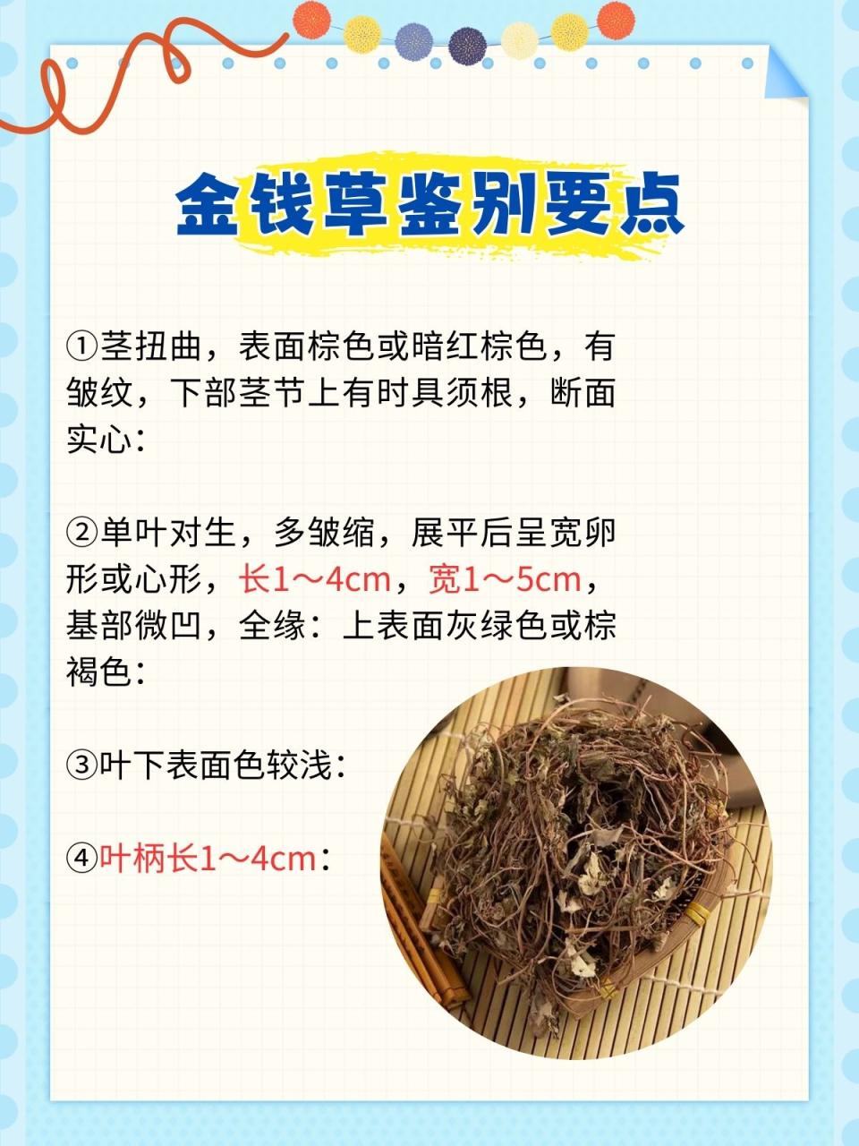 如何挑选优质金钱草?