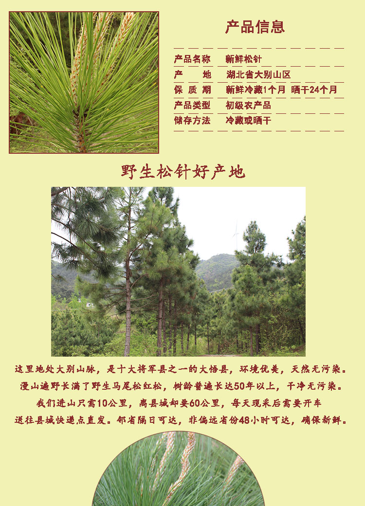 日常保健,简便易行