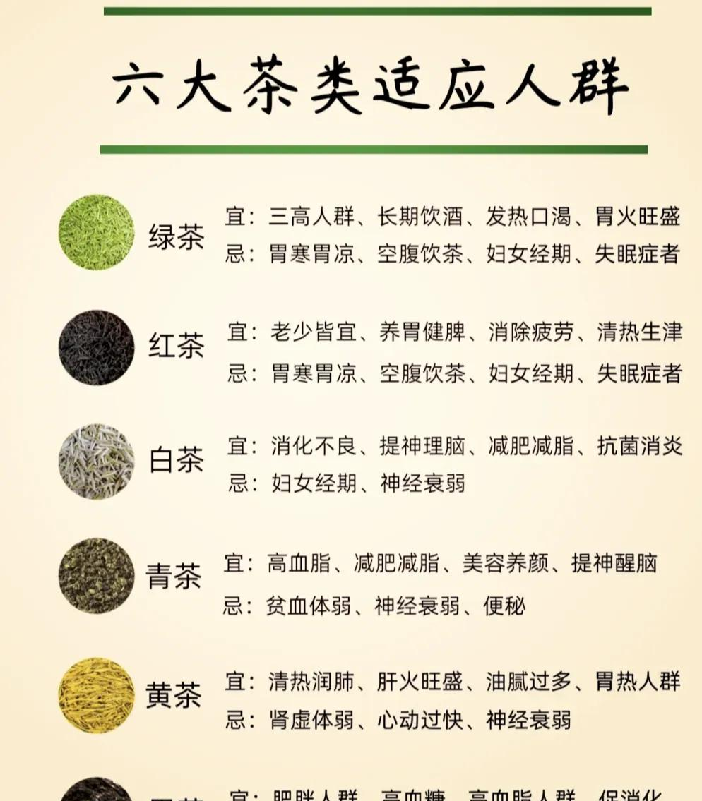 日常运用,让茶融进生活