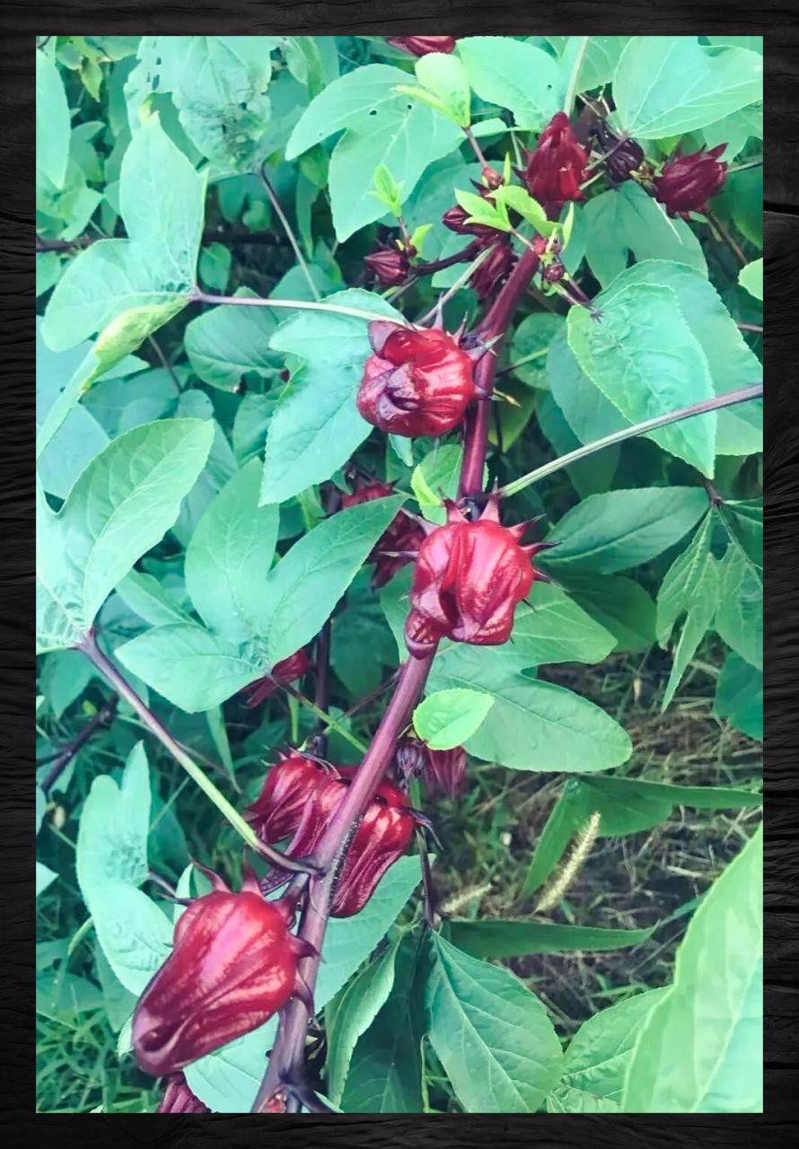 简单实用,省时省力