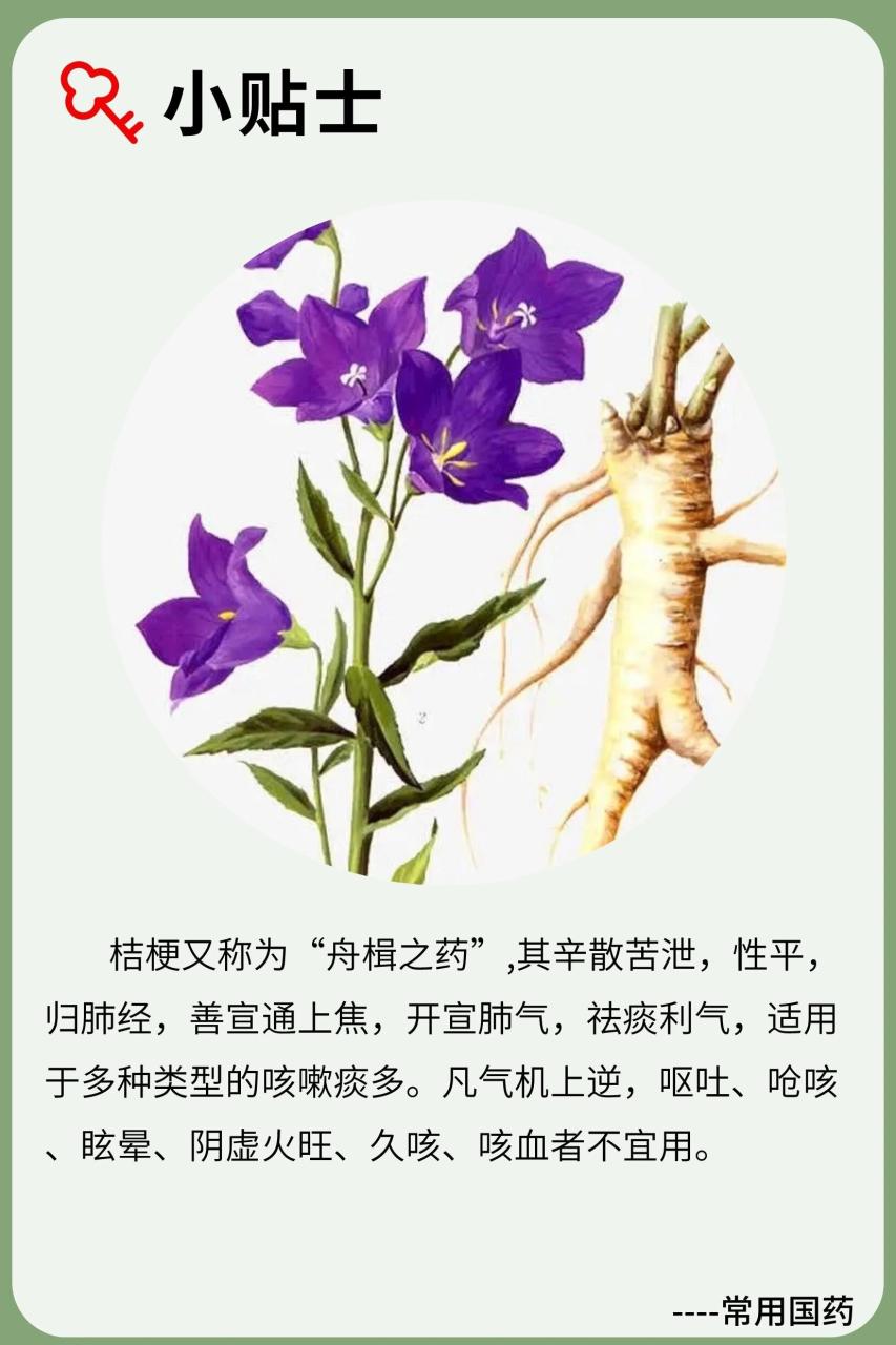 四、饮食搭配,增添风味与营养