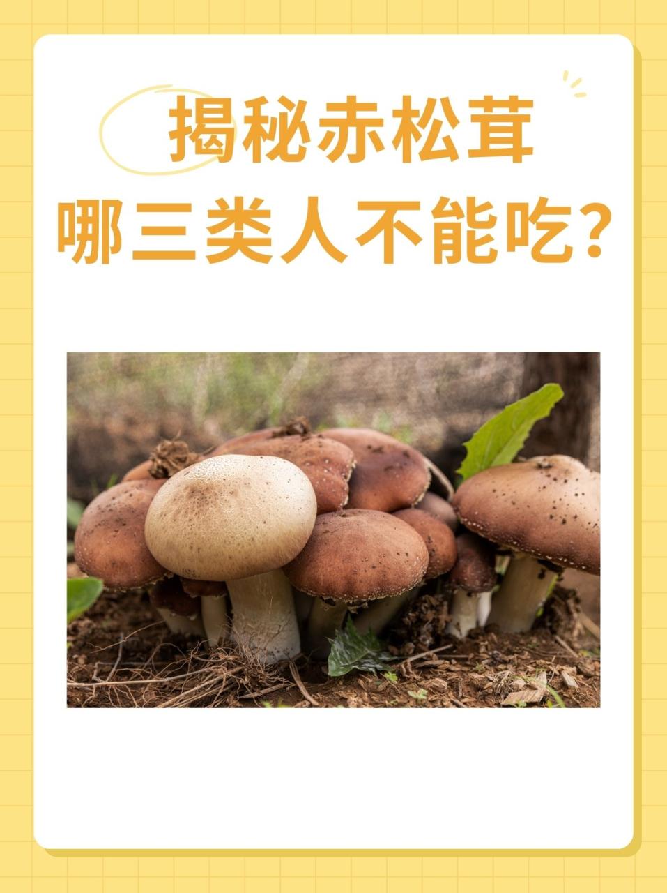 食用方式多样,美味又养生