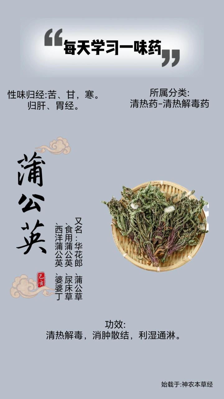 促进排毒,改善皮肤