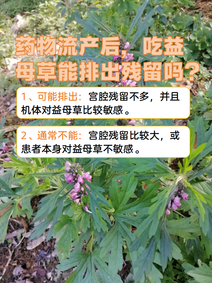 日常生活中的小妙招