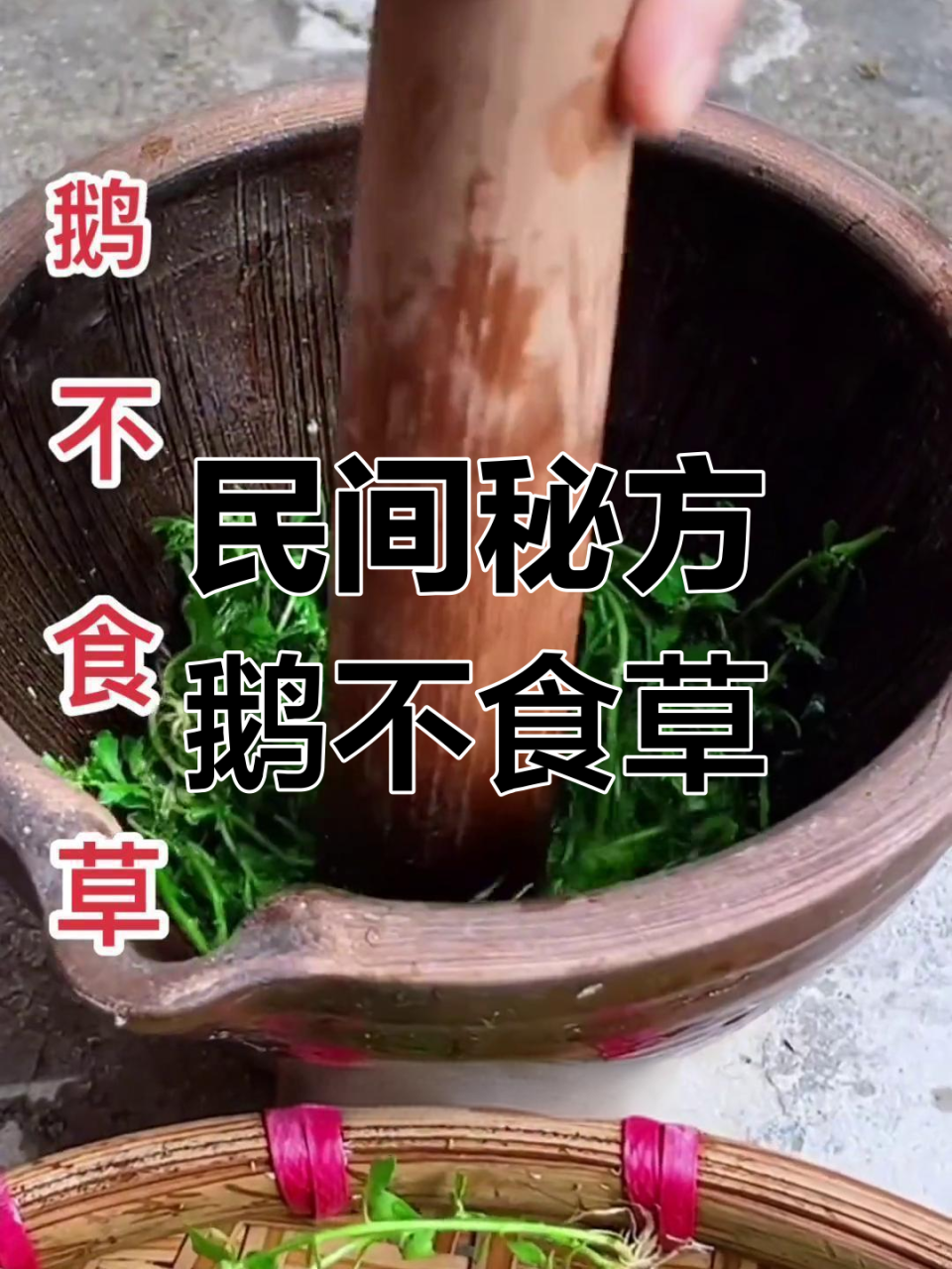 四、使用需谨慎,不可盲目服用