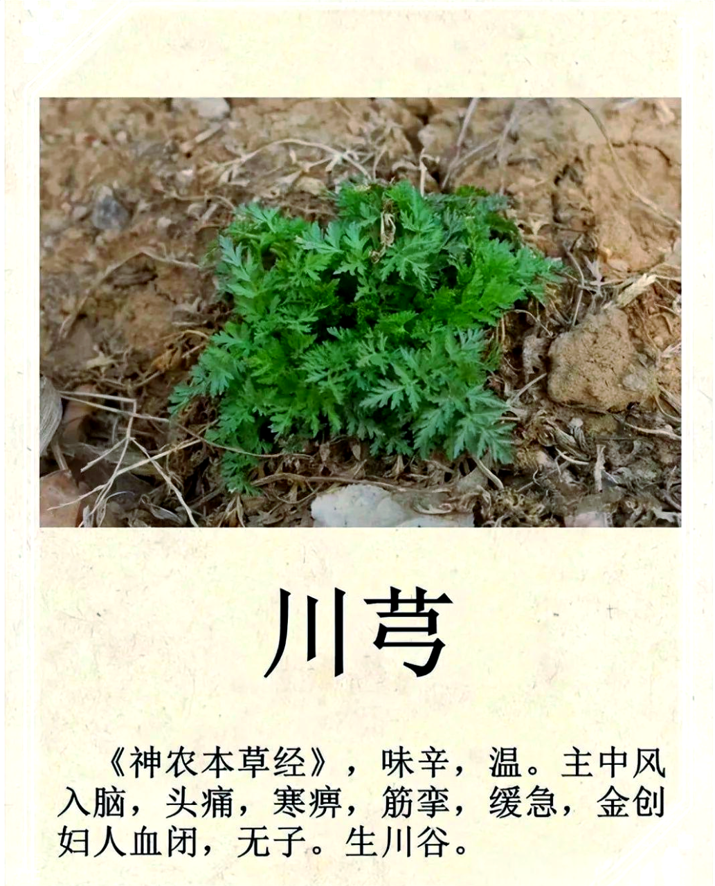 日常生活中的应用