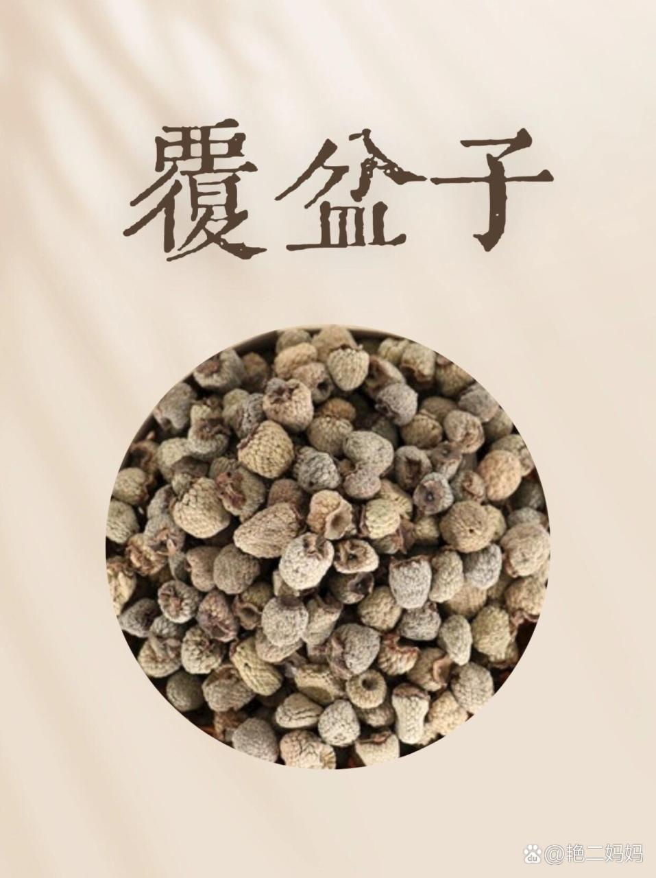 抗氧化,延缓衰老