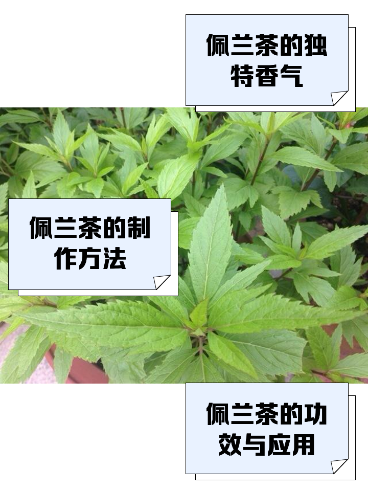 日常生活中的实用妙招