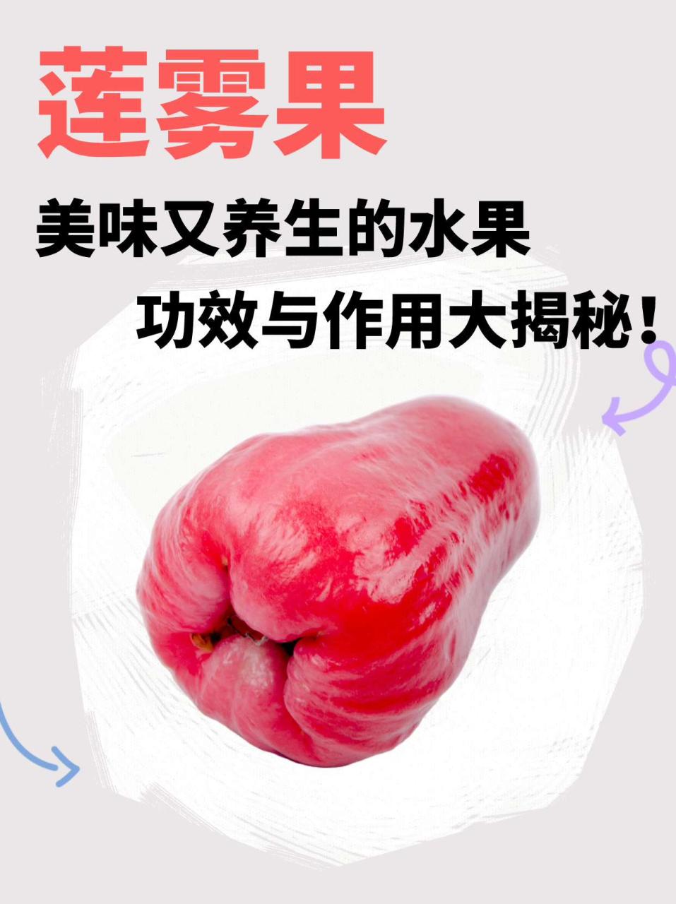 增强免疫力,延缓衰老