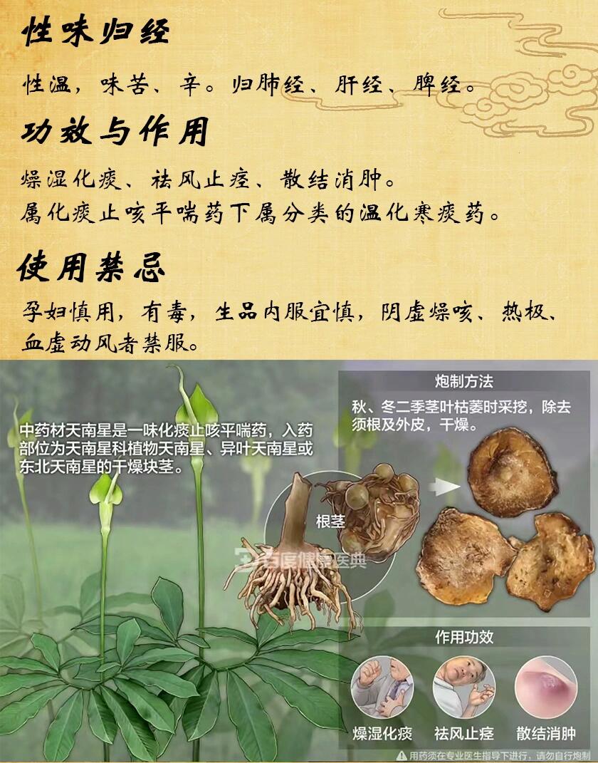 常见用途与搭配