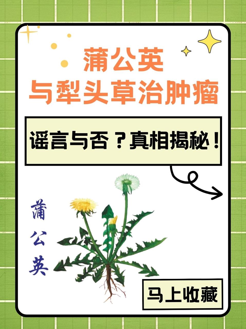 消肿散结,调理身体