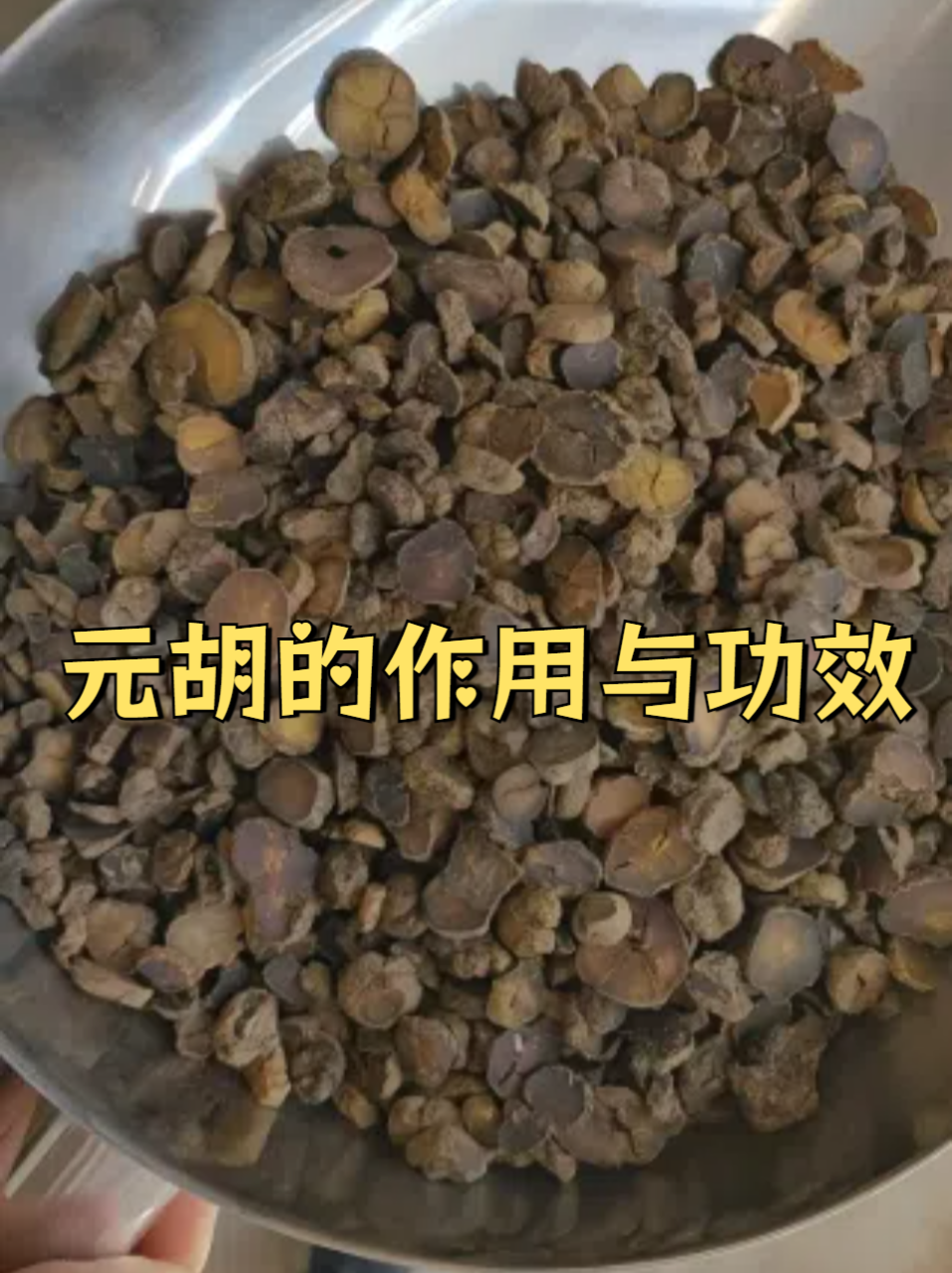 药用价值的体现