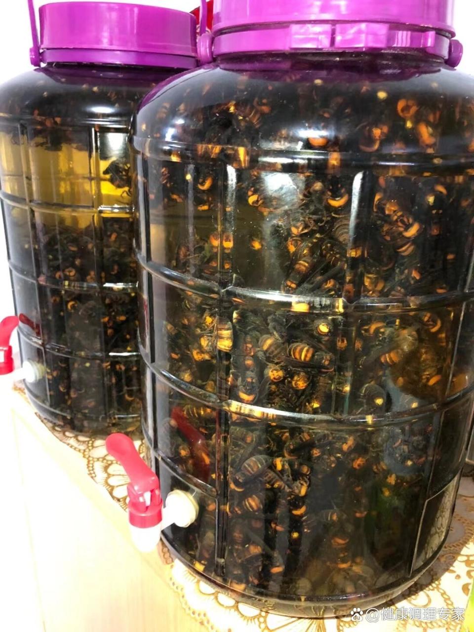 注意事项与温馨提示