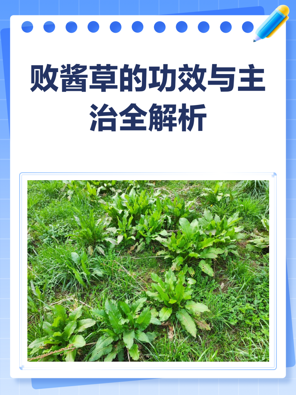 普遍的用处和使用方法