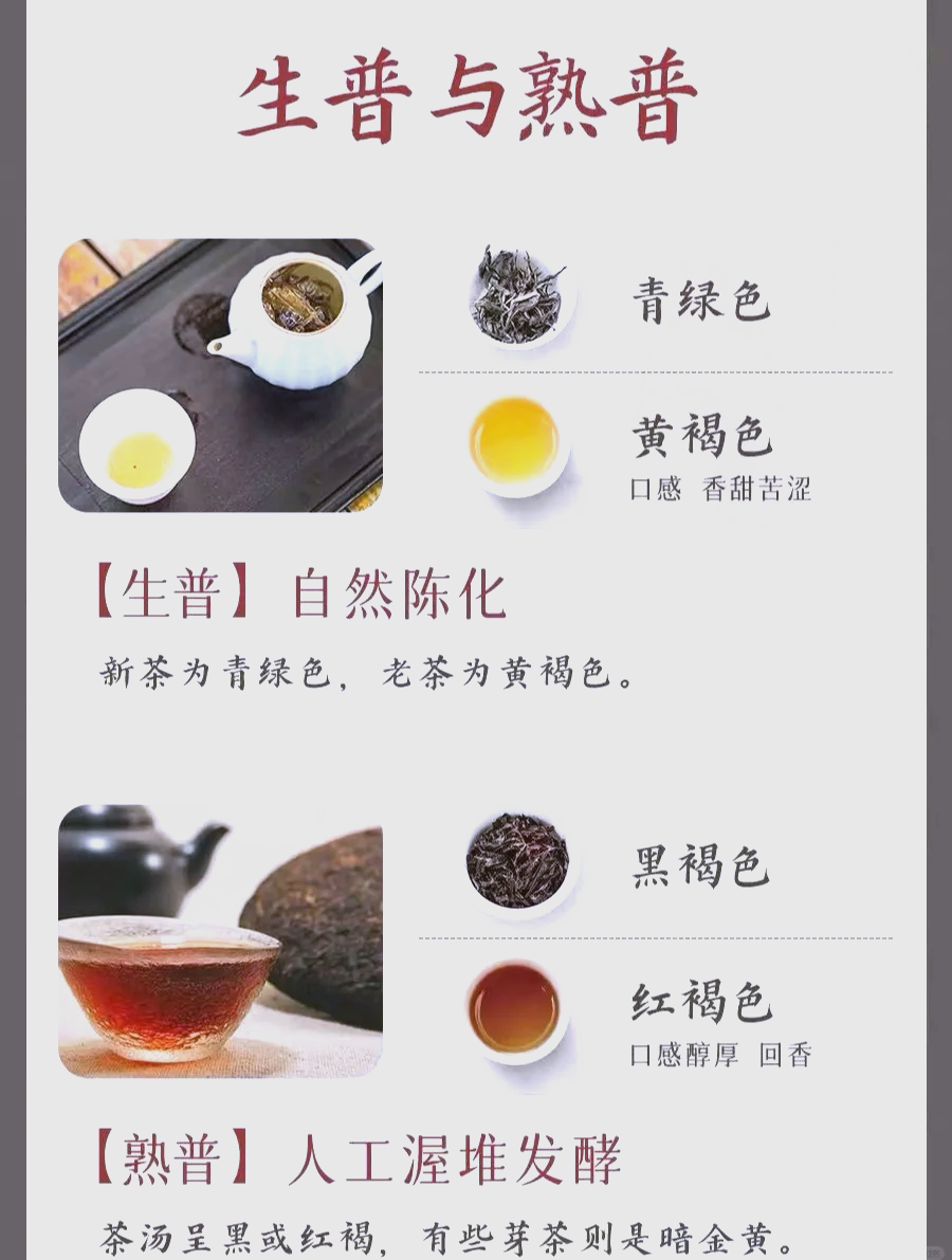 小贴士:如何挑选优质普洱茶