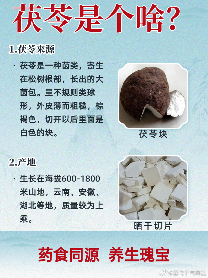 适合现代人的养生选择