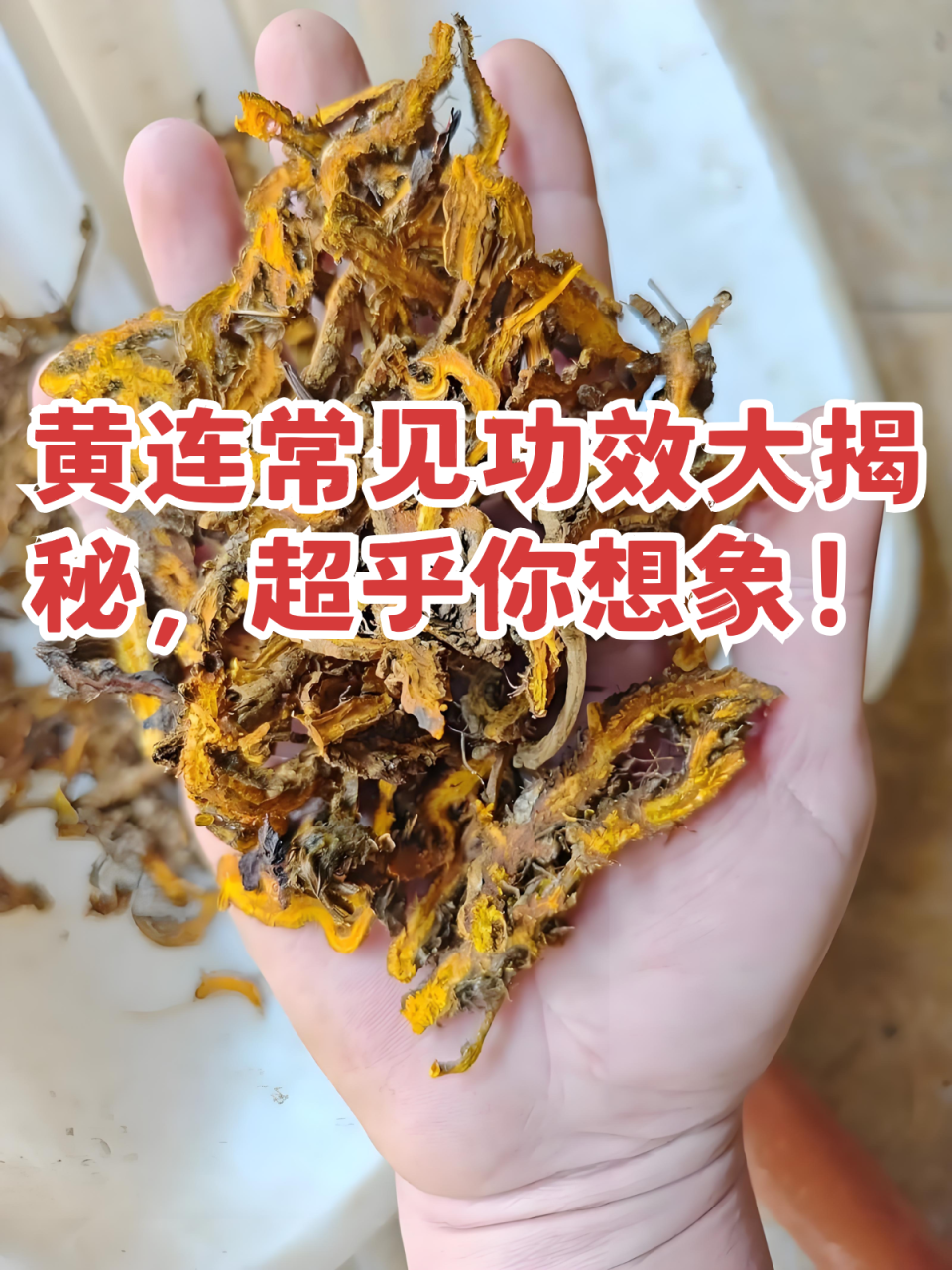 抗菌消炎,守护肠道健康