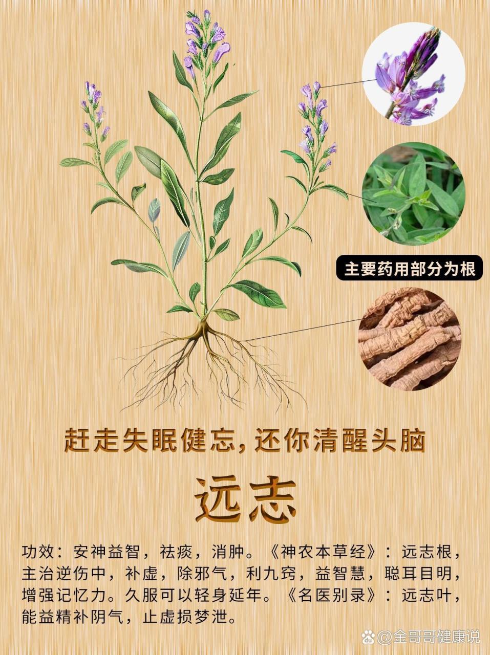 常见的用途与搭配