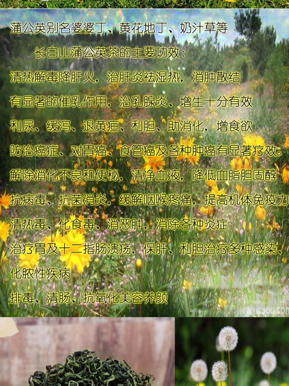 多种吃法,美味又养生