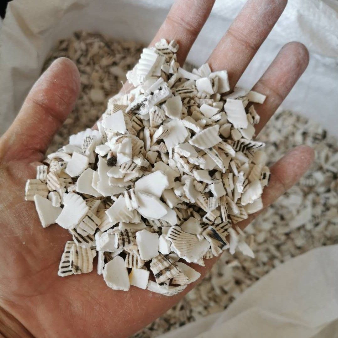 煅瓦楞子的药用价值