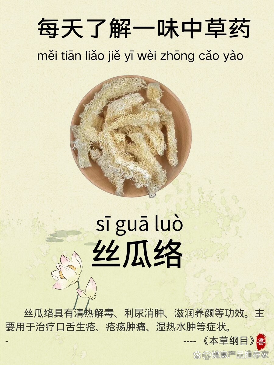 适合人群与使用建议