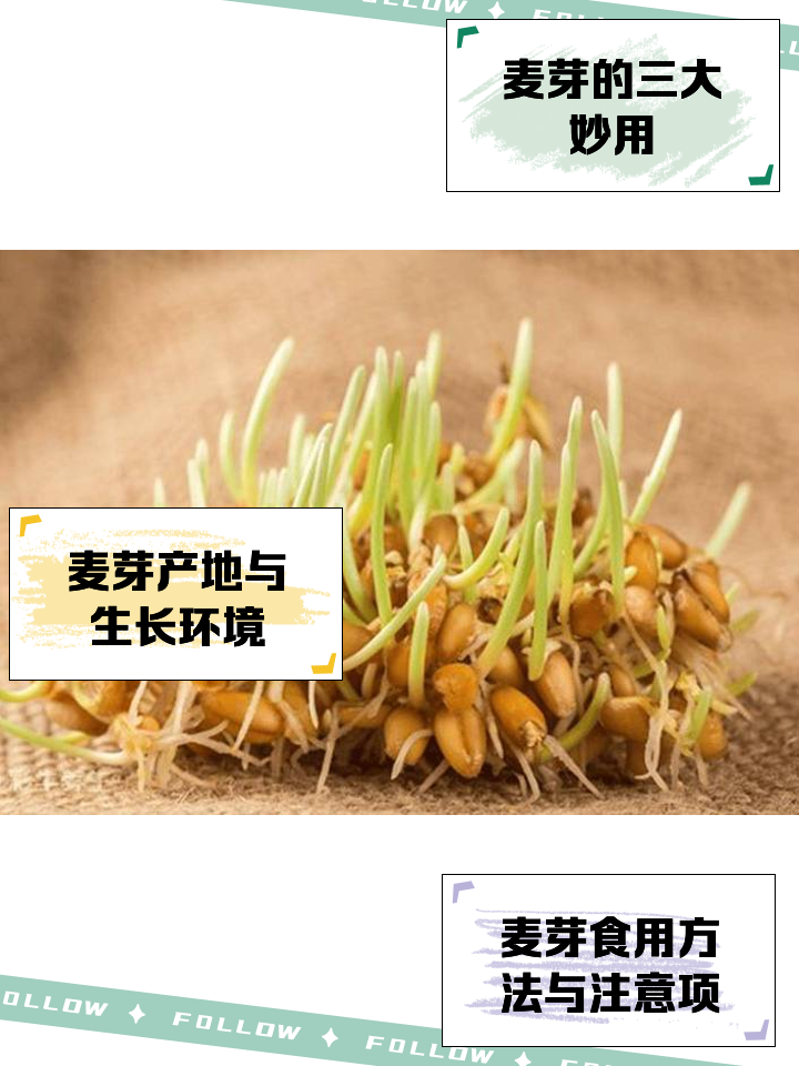 如何将麦芽融入日常生活