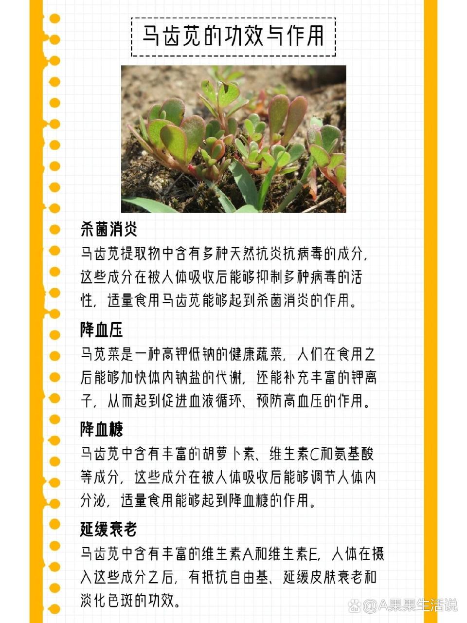 营养价值不可小觑