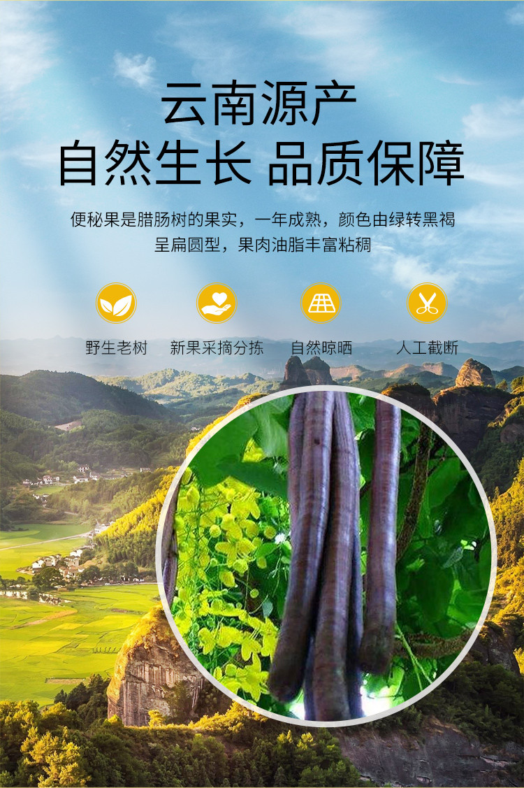 适合人群与注意事项