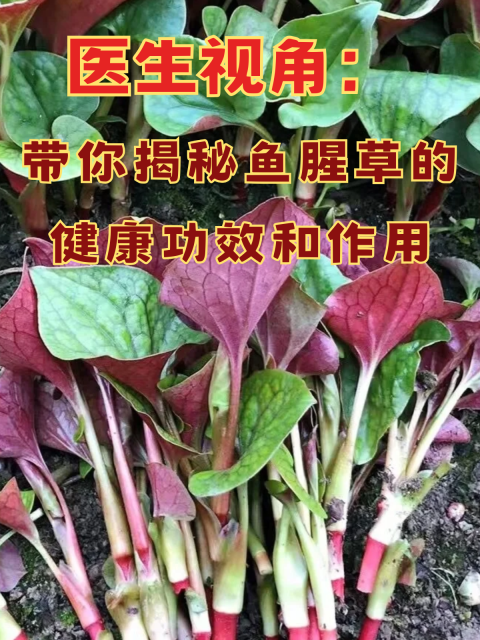 合理使用更安全