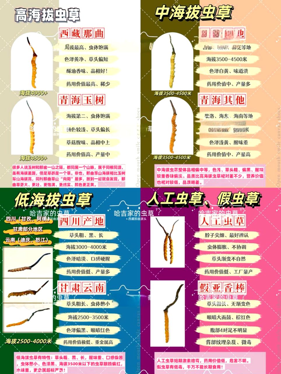 自然馈赠,健康之选