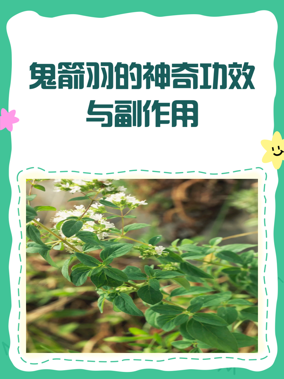 常见用途与使用方法