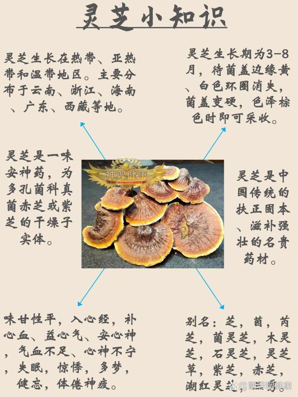 养生价值不可忽视