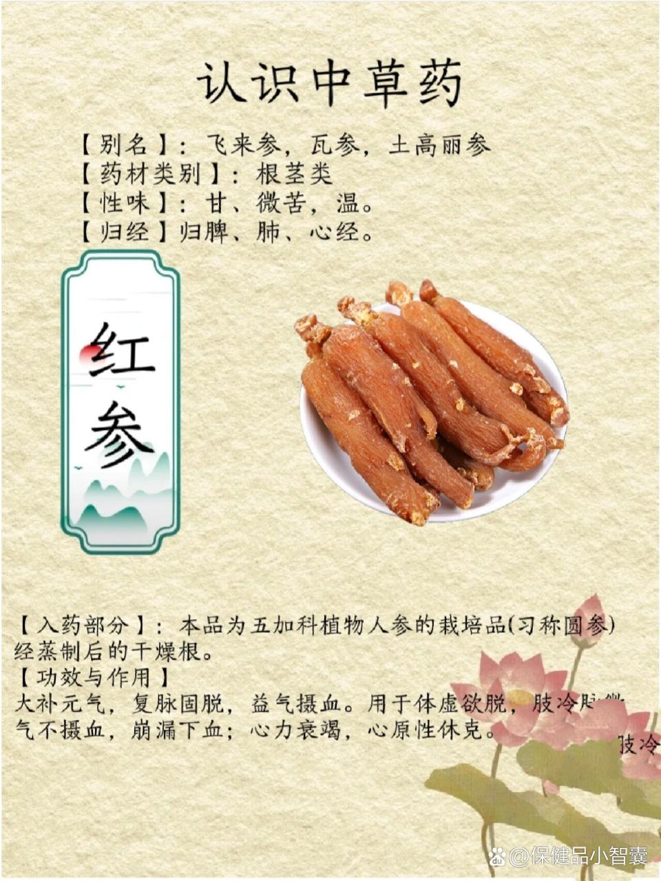 延缓衰老,美容养颜