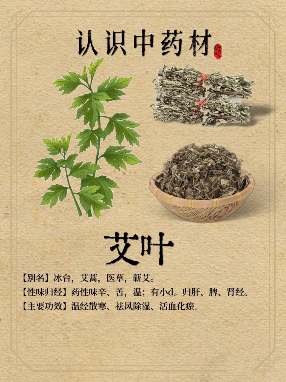 艾草的使用小贴士