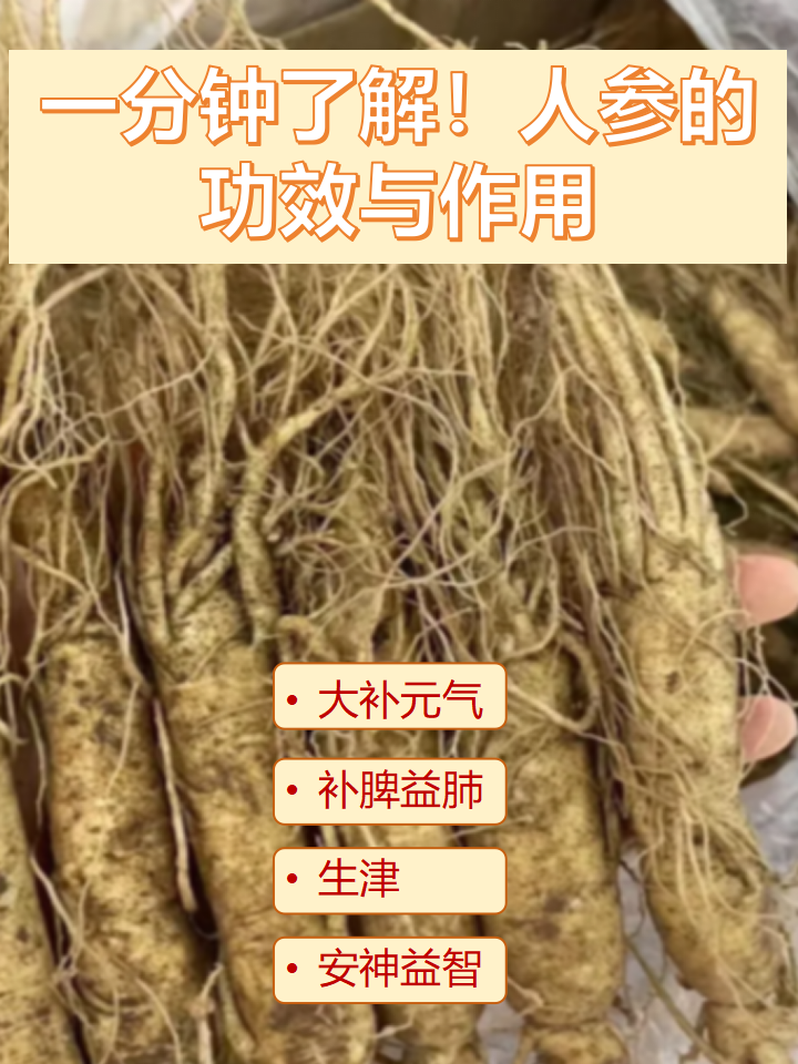 缓解疲劳,改善精力