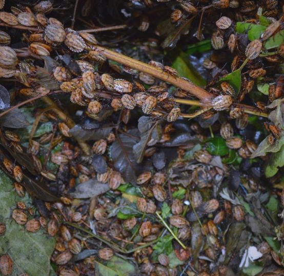 日常使用小贴士