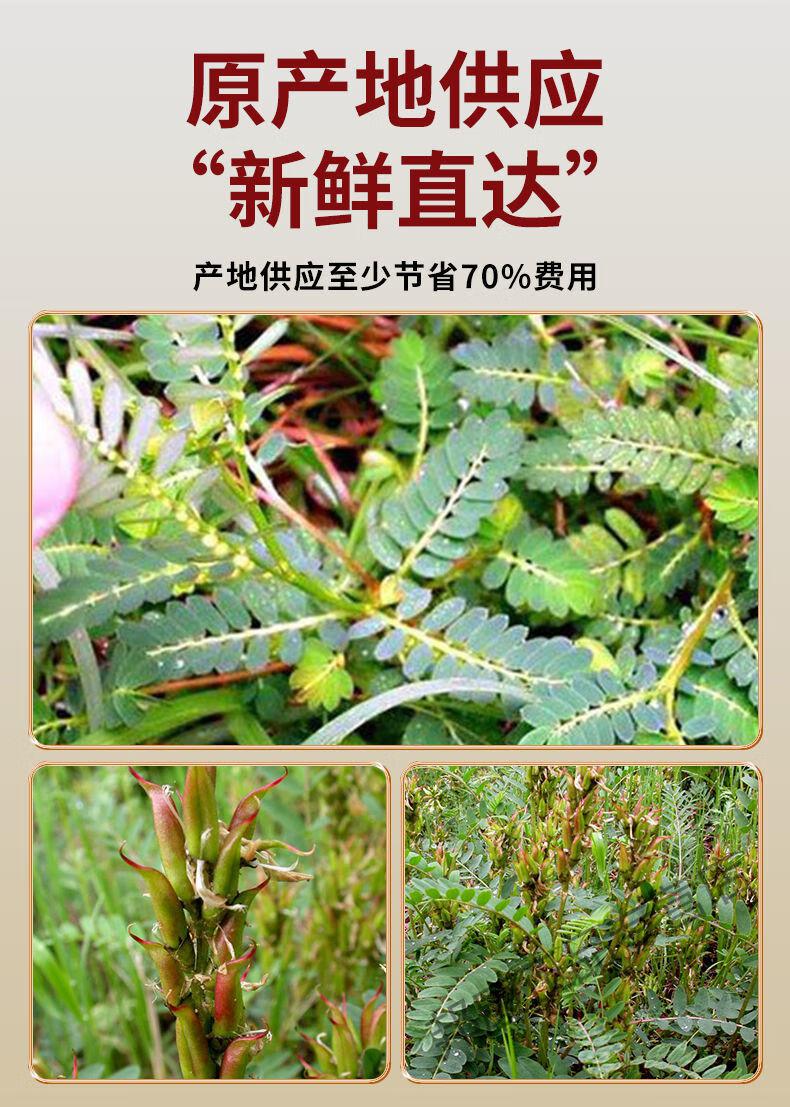 日常健康养生小提示