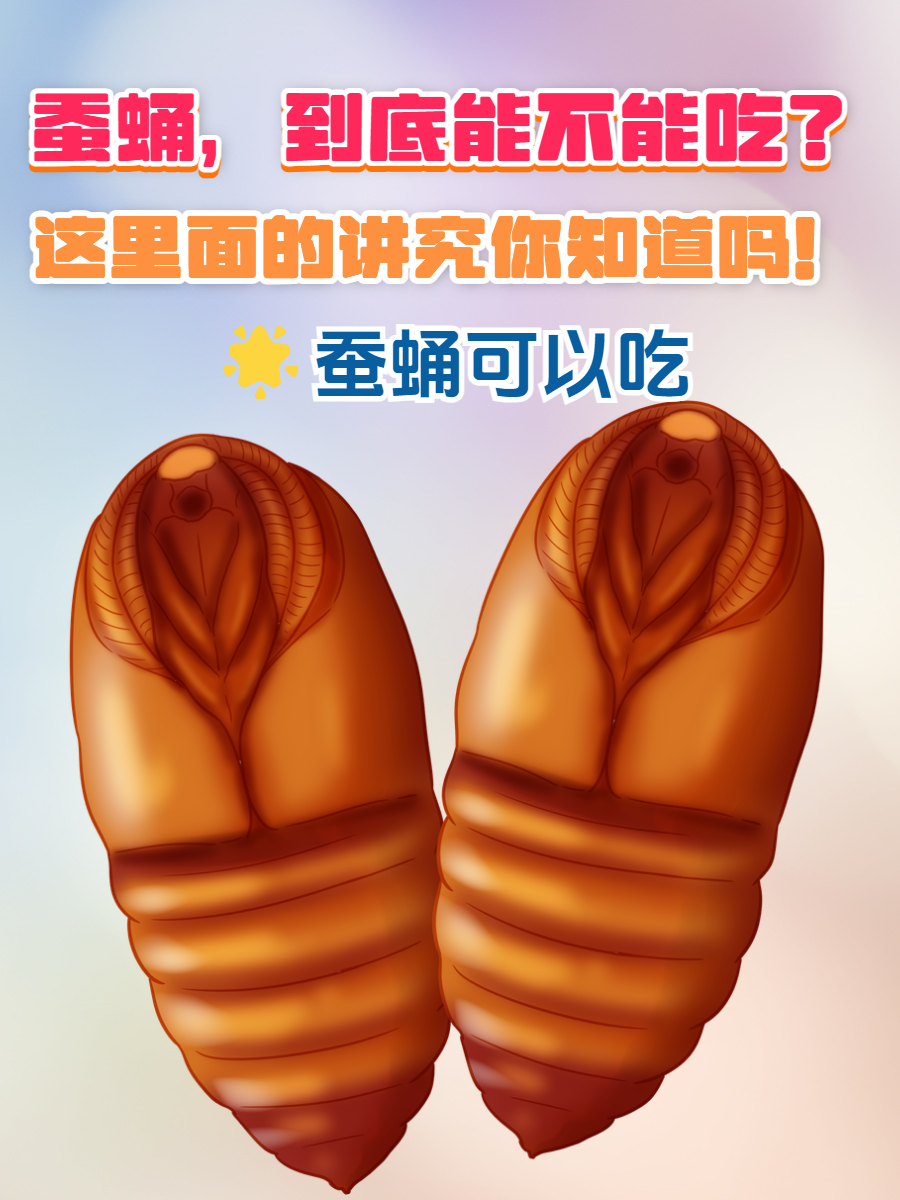 增强免疫力，提升抵抗力