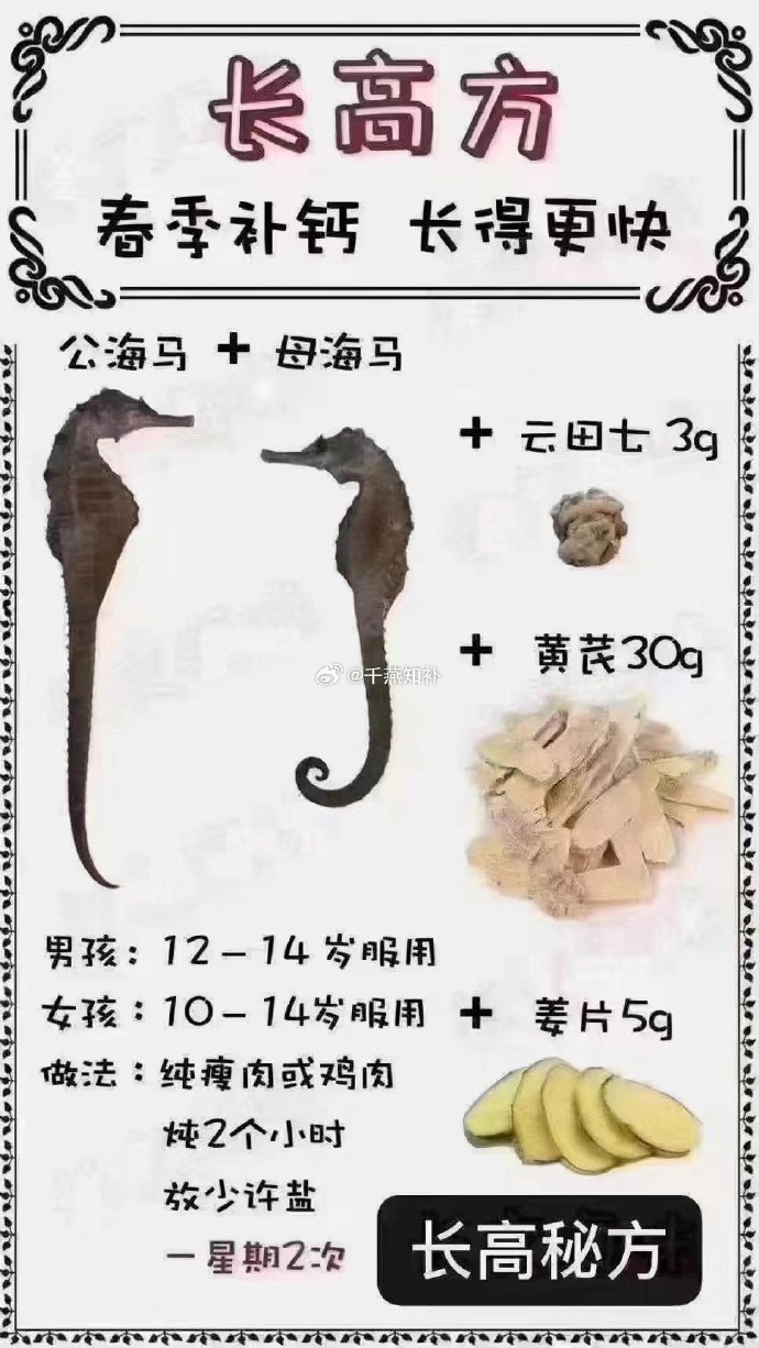 吃海马也要讲究科学