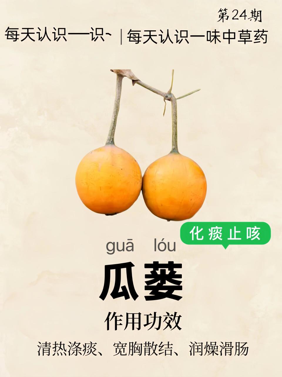 自然之选,健康之选