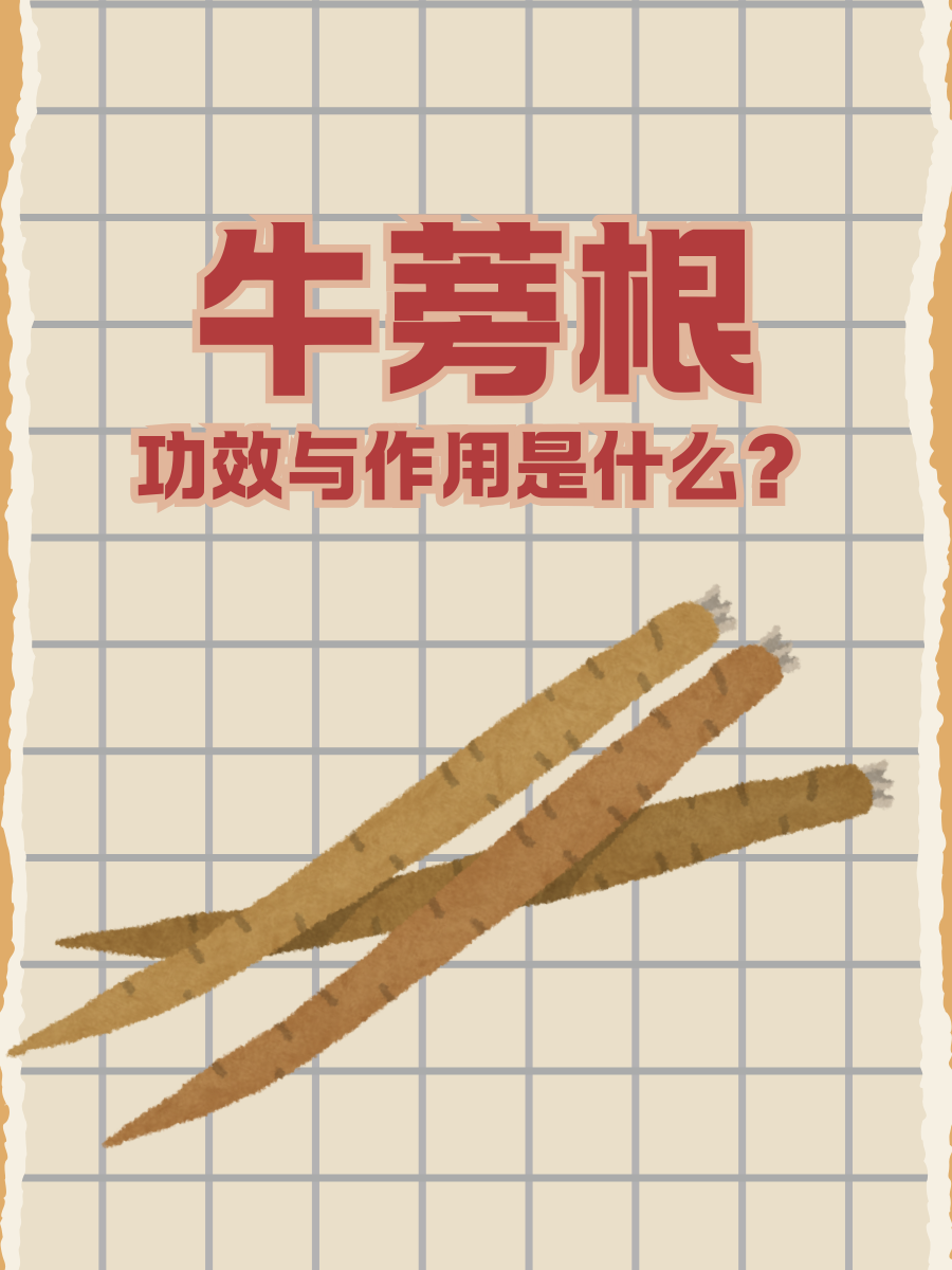 日常食用小贴士